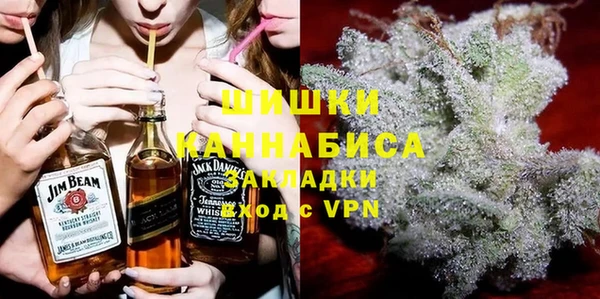 прущие грибы Абинск