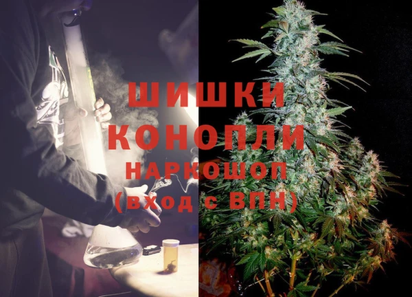 прущие грибы Абинск