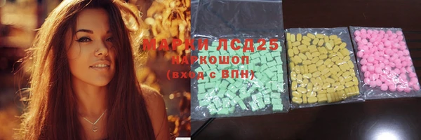 прущие грибы Абинск