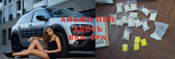 прущий лед Абаза
