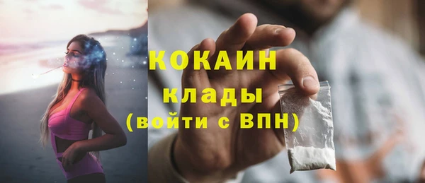 прущие грибы Абинск