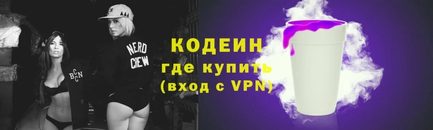 прущие грибы Абинск