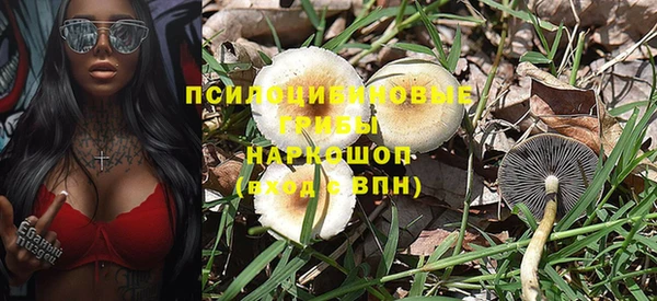 прущие грибы Абинск