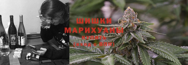 прущие грибы Абинск